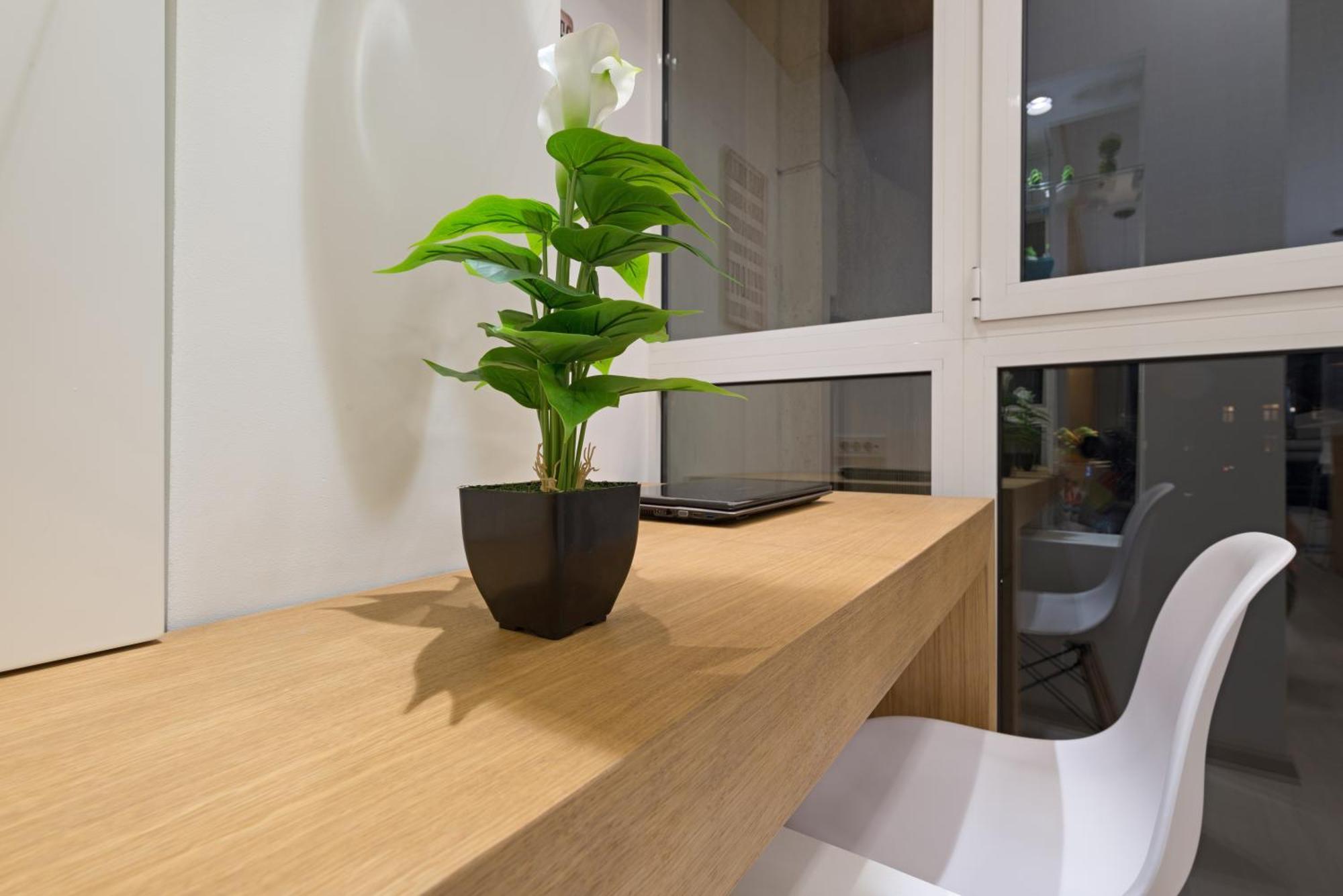 Vivio Luxury Apartment بلغراد المظهر الخارجي الصورة
